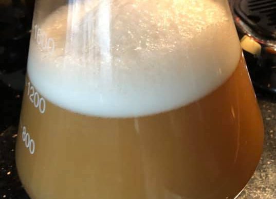 yeast starter yeast starter
