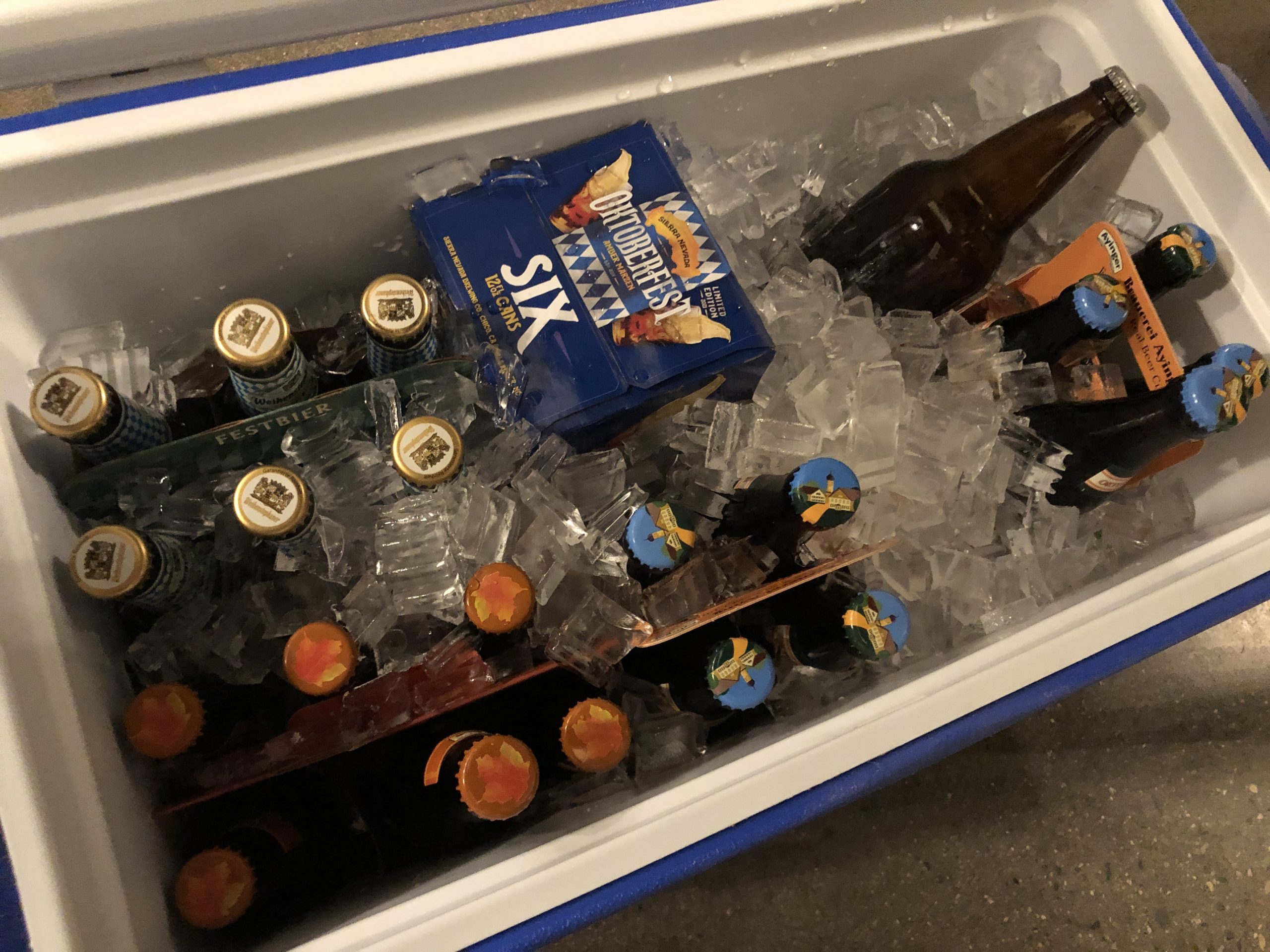 German and American Oktoberfest beers for sampling and discussion