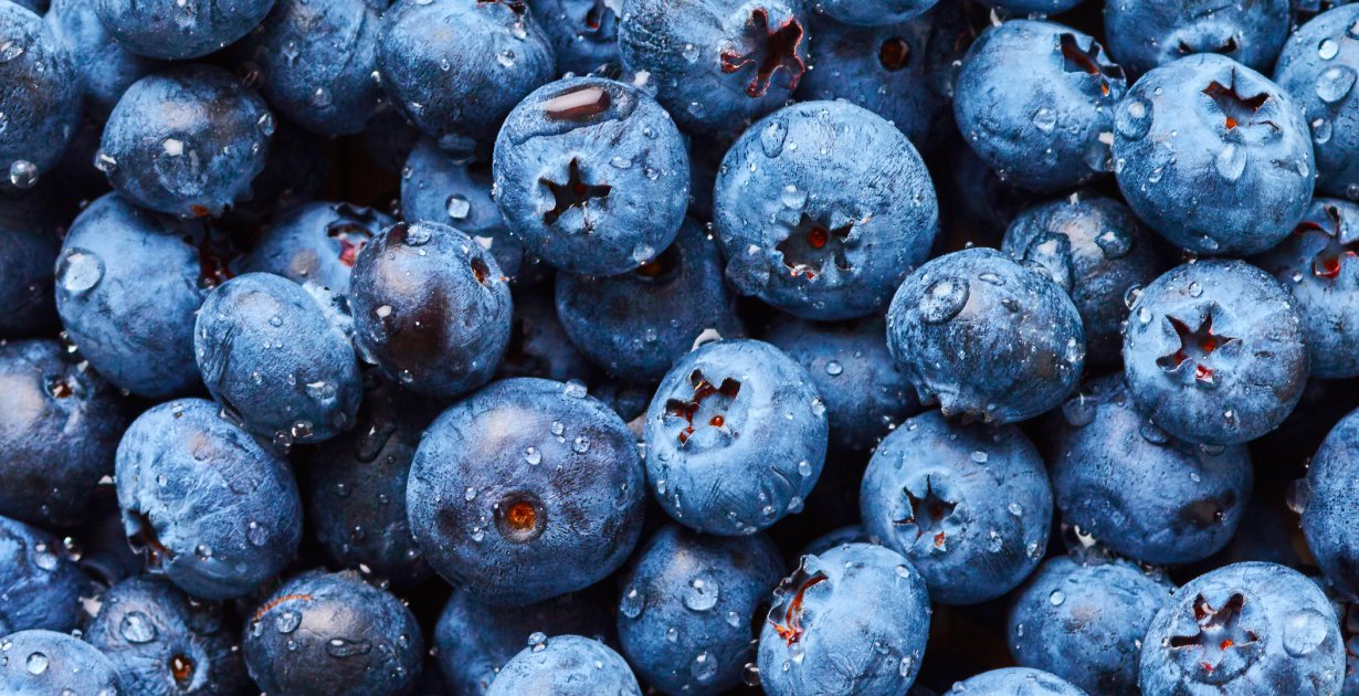 Blueberry Blueberries won the day
